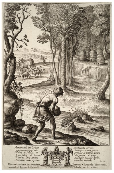 Hiving Bees. State 1 by Wenceslaus Hollar